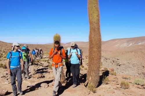 TREKKING NEL DESERTO DI ATACAMA 2015